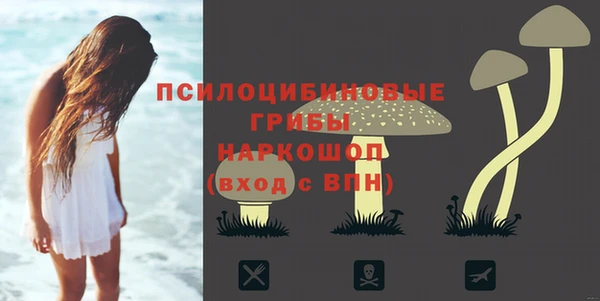 спайс Горно-Алтайск