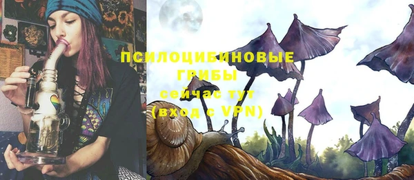 спайс Горно-Алтайск