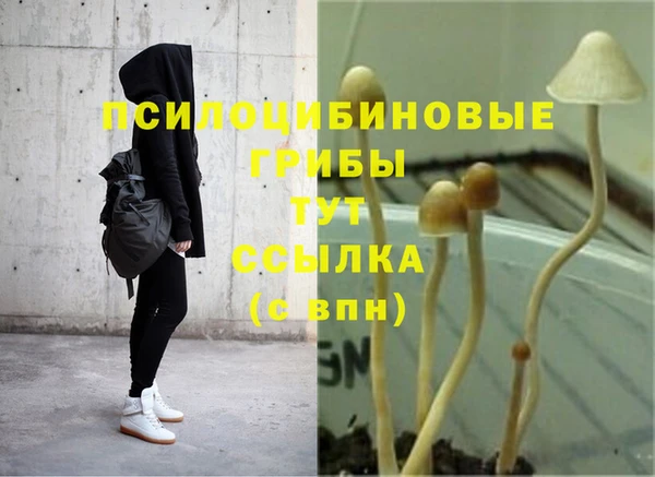 мет Горняк